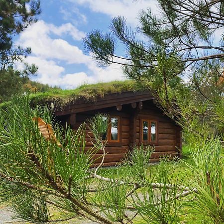 Log Home Village อัลเวอร์สตัน ภายนอก รูปภาพ