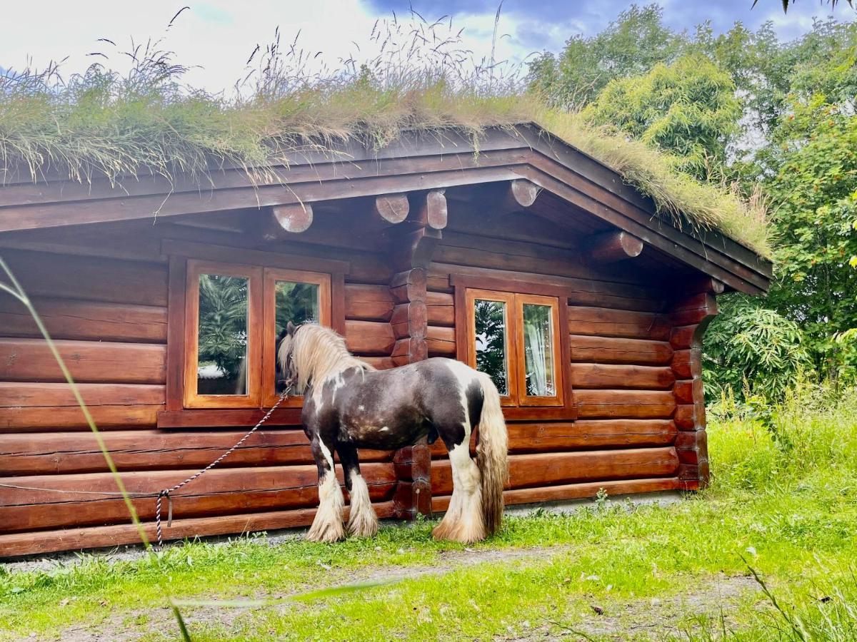 Log Home Village อัลเวอร์สตัน ภายนอก รูปภาพ